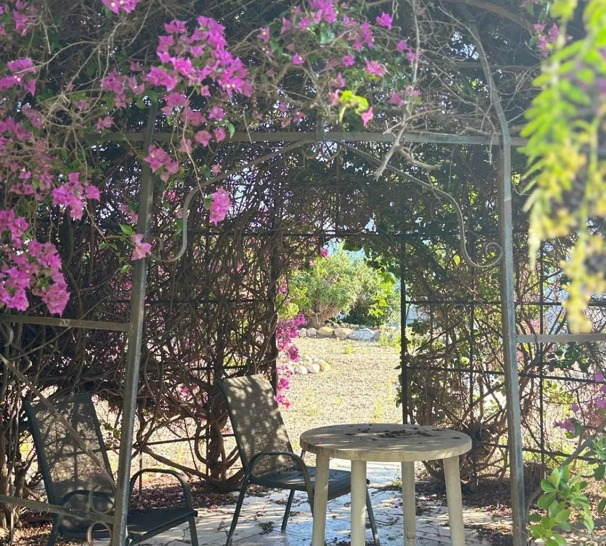 Casa Paya Ex Casa Benedict Βίλα Turre Ισπανία